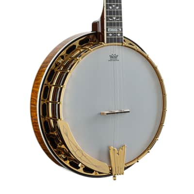 Epiphone Earl Scruggs Golden Deluxe Banjo - Banjo image 6