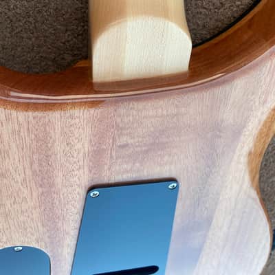 Paul Reed Smith SE Custom 24 Exotic wood DiMarzio 36th Anniversary PAF’s image 8