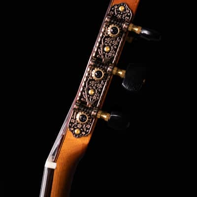 Cordoba Fusion Stage Guitar, Natural Amber with Bag image 11