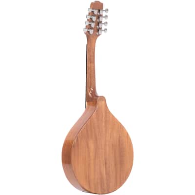 Gold Tone Traditional Irish Mandola with Pickup - Natural image 3
