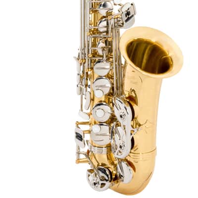 Antigua Vosi AS2155LN Eb Alto Saxophone. Nickel Keys and a Lacquer Body image 3
