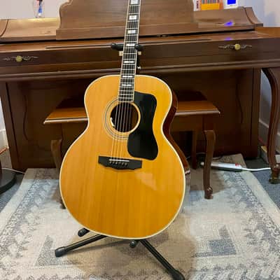 1980 Guild F-50 R image 2