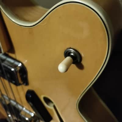 Fender Coronado Bass II 1967 - 1972 image 10
