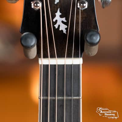 Squirrel Hunter Ornate Rosewood Dreadnought - Torrified Sitka Spruce/East Indian Rosewood - Local Luthier Showcase #0208 image 10