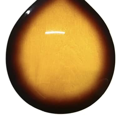 Washburn Mandolin M-1S image 4