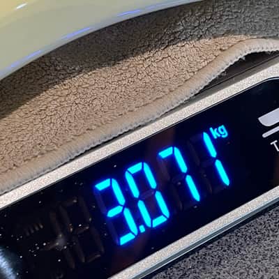 PRS SE Silver Sky Moon White incl. Gigbag - NEW - 3,071 kg !!! image 11