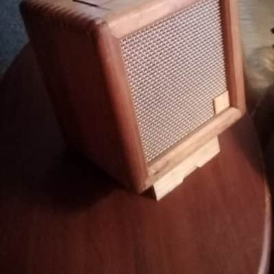 Electro Harmonix Freedom Amp. Battery Powered (Rechargeable). Buskers Dream Amplifier image 4