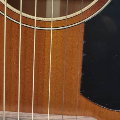 Fender Malibu Special 2023 - Tobacco image 7