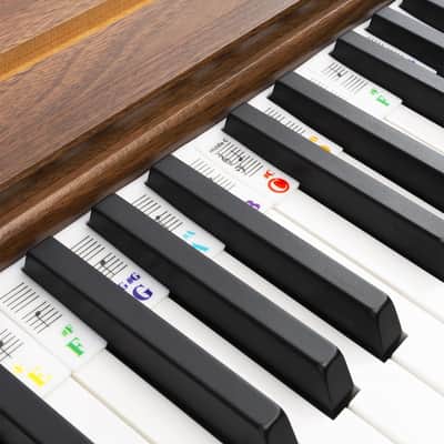 Piano Keyboard Stickers for 88-Key, Bold Large Letter Piano Stickers for Learning, Removable Piano Keyboard Letters, Notes Label for Beginners and Kids, White image 3