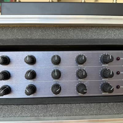Custom Audio Electronics 3+ 90’s - Grey with road case image 3