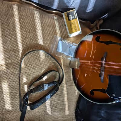 Eleca EMA-1 Mandolin...w/ New Gig Bag and Accessories image 2