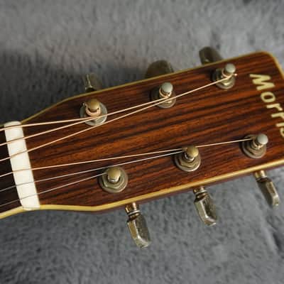 Morris MV-702 1980s - Natural MIJ Acoustic image 12