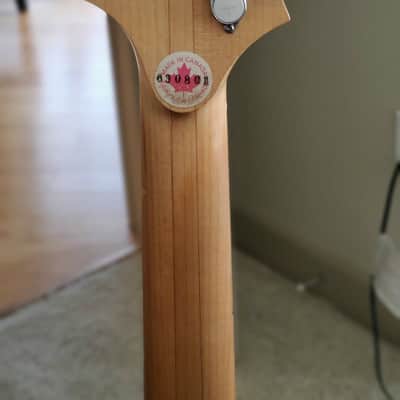 Fbass BN5 5 String Bass  Turquoise image 4