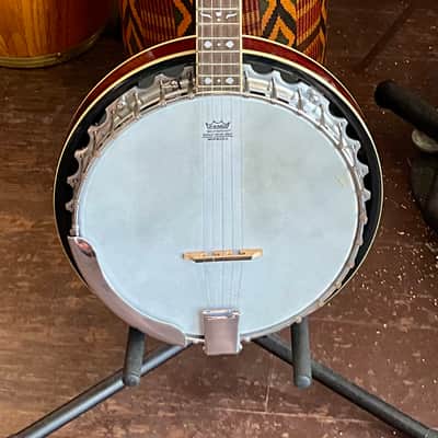 Fender 5 String Banjo with Resonator & Gig Bag image 1