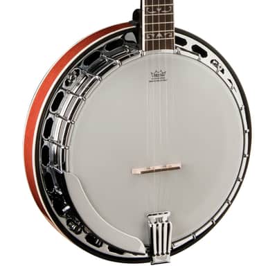 Washburn Americana Series B16K-D 5-String Banjo - Sunburst image 1
