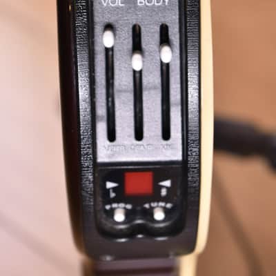 Line 6 Variax Acoustic 300 Series image 15