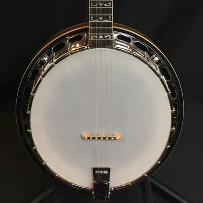 Tyler Mountain TM-800  Pro Model 5-String Banjo w/ Hardshell Case image 1