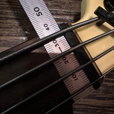 Fernandes FRB-70 Electric Bass image 12