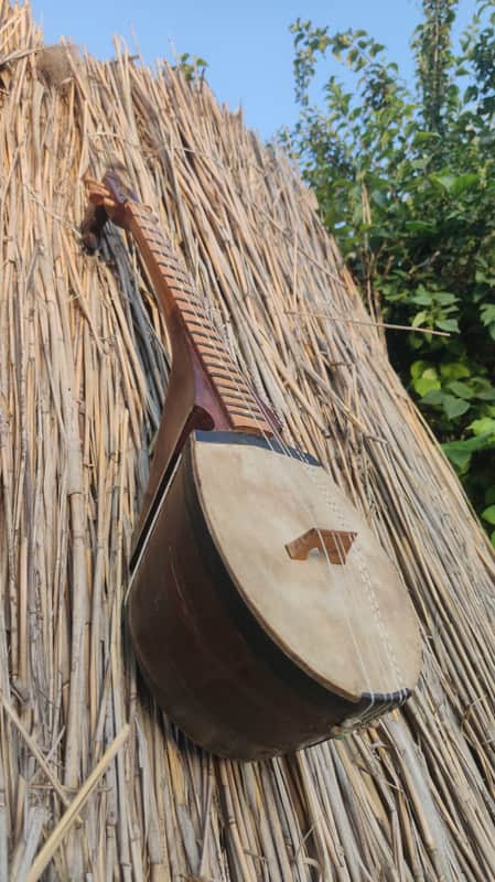 Rubab, robab, rabab Afghan 1960 image 1