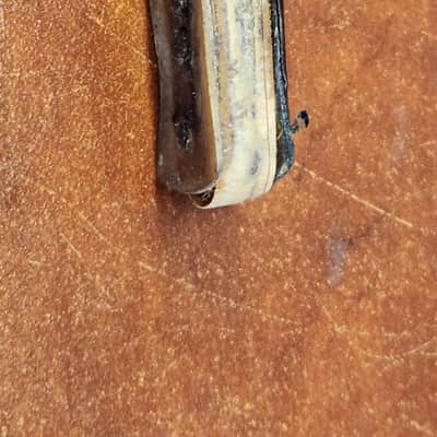 Pickup Unknown Single with some magnet that it came with but does not belong image 3