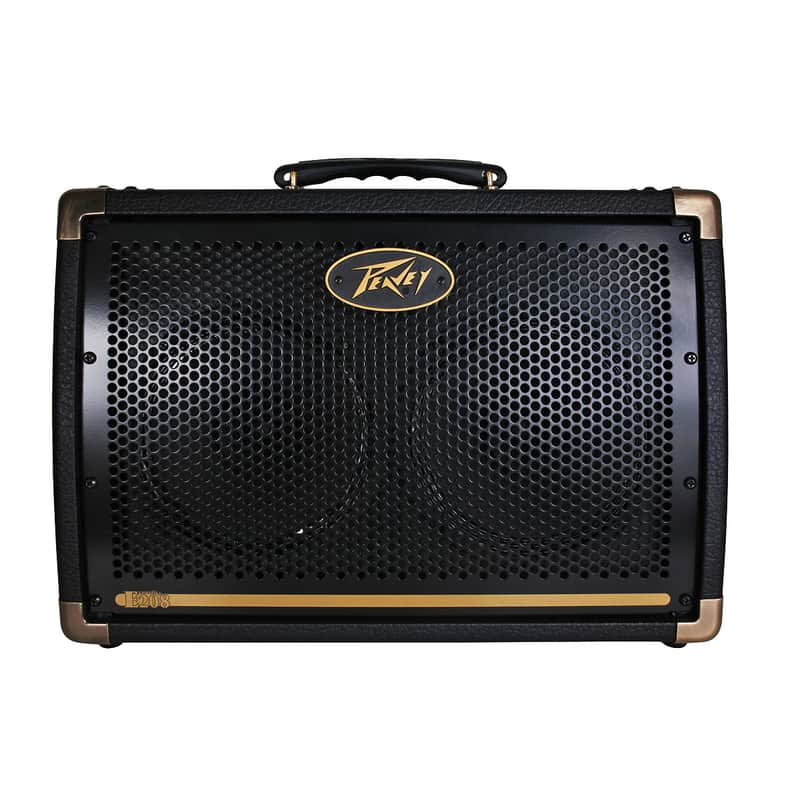 Peavey Ecoustic E208 30W 2x8 Acoustic Amp image 1