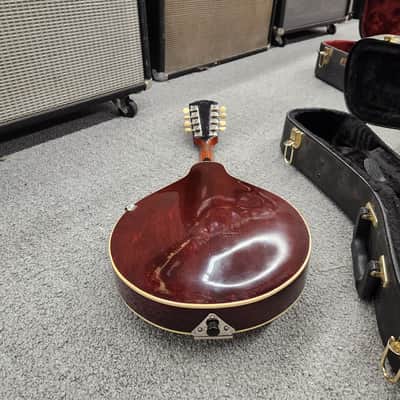 Gibson A3 mandolin 1919 - Ivory (White top) with case image 13