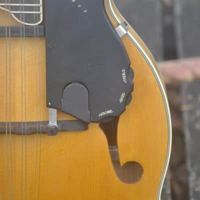Epiphone MM-50E Professional Mandolin - Natural image 5