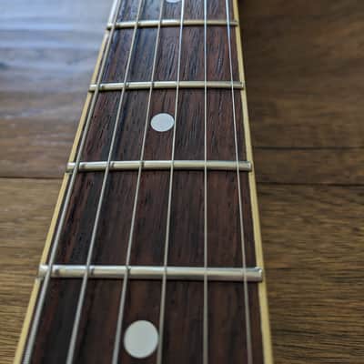 History ZMS-CFS - FGN Fujigen ES-339 style semi-hollow image 6