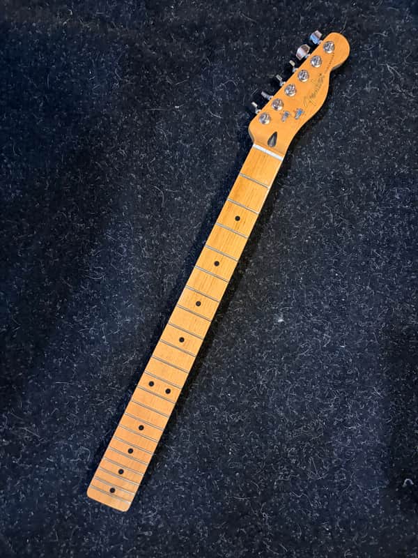 Fender Roasted Tele C Shape Maple Neck image 1