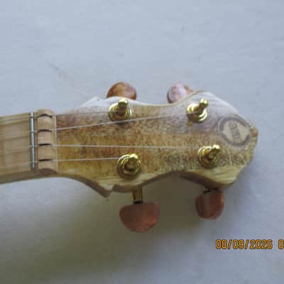 G.S.Monroe Piccolo Banjola 2026 - Natural Gloss image 3