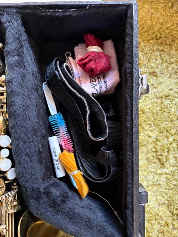 Alpine Alto Saxophone Brass, with case/neck/mouthpiece image 1