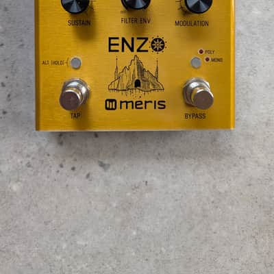 Meris Enzo 2018 Gold image 1