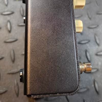 Strymon Flint Reverb and Tremolo V2 Black with White Knobs image 5
