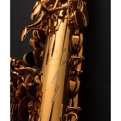 Selmer Signature noir gravé - Saxophone alto professionnel avec étui et bec complet image 4