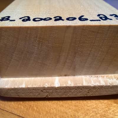 Telecaster Neck -- Unknown Brand; Maple Fretboard; New Condition (Never Installed); w/ Nut image 9