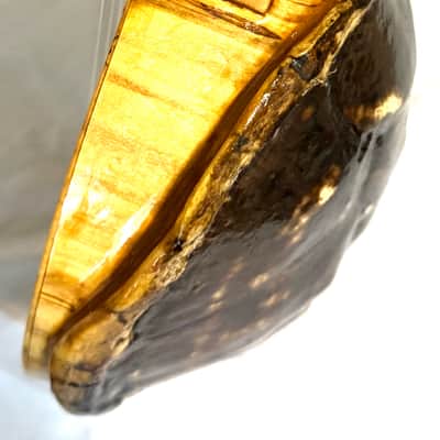 Turtle Shell Tenor Ukulele image 5