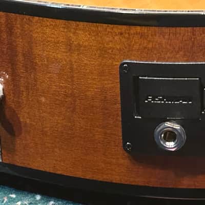 PRS PPE50 - Parlor Size Acoustic Guitar with Built-In Fishman Pickup and Padded Bag image 20