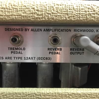 Allen Amplification Encore Series Beige 1X15" image 4