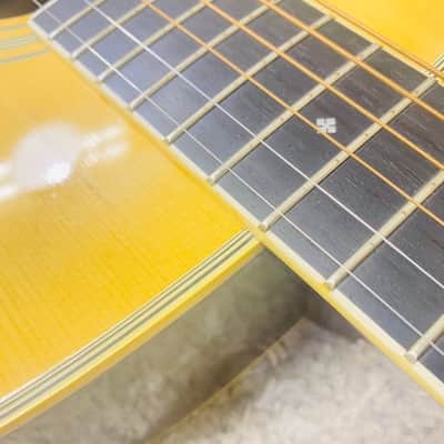 Tokai Cat's Eyes CE-300 1970〜80年代 image 20