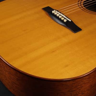 Thompson TM-1 1996 - Natural image 12