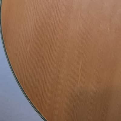 Stafford SF-S1 | Martin D18E copy Kurt Cobain Nirvana MTV Unplugged image 3