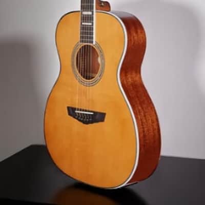 D'Angelico Premier Tammany with Electronics, Vintage Natural image 4
