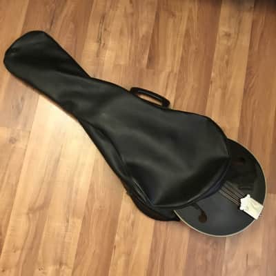 Ashbury Mandolin w/Case image 17