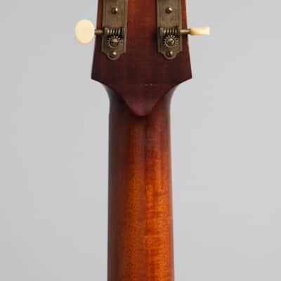 Iris  DF Flat Top Acoustic Guitar, ser. #268, black tolex hard shell case. image 6