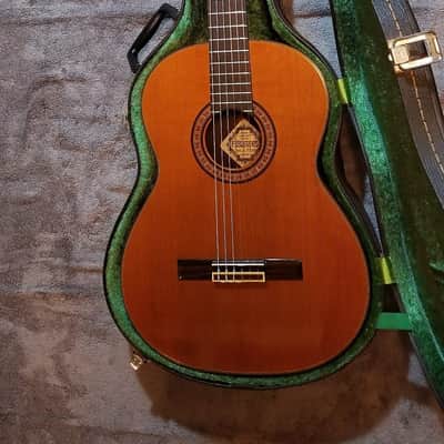 Handmade Fernandes GC40 image 1