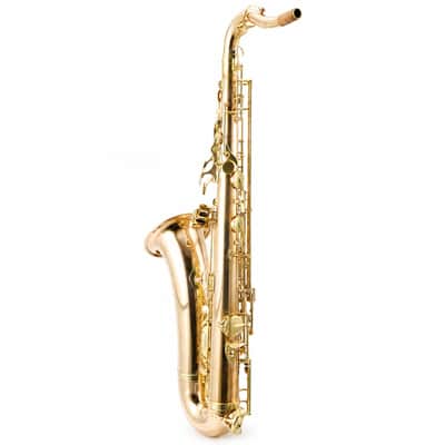 Yanagisawa TWO20 Professional Bb Tenor Saxophone in Lacquered Bronze SN 00399487 image 13