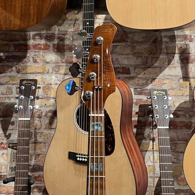 Sire V10 Swamp Ash Gen2 - Tobacco Sunburst image 5