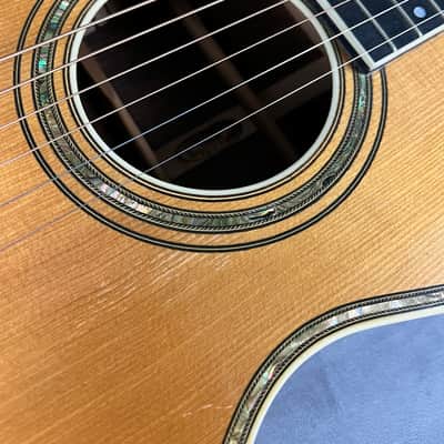 Larson Bros Stahl Style 8 Amazing! Brazilian Rosewood 1929 image 17