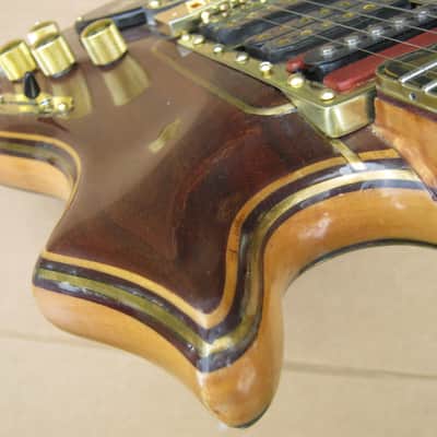 Tiger, Strad-a-Tiger #9. Jerry Garcia's Grateful Dead self built copy 2008-2024 image 4