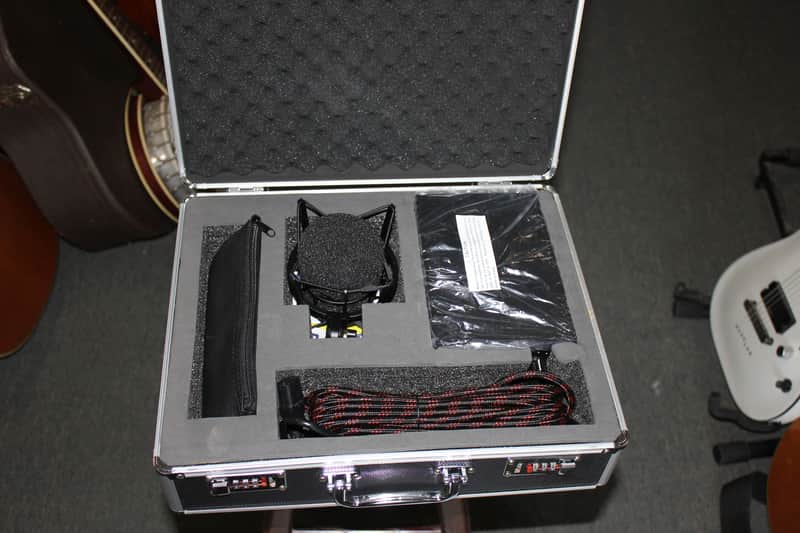 Stage Right LTM500 Large Multi Pattern Tube Studio Condenser Microphone